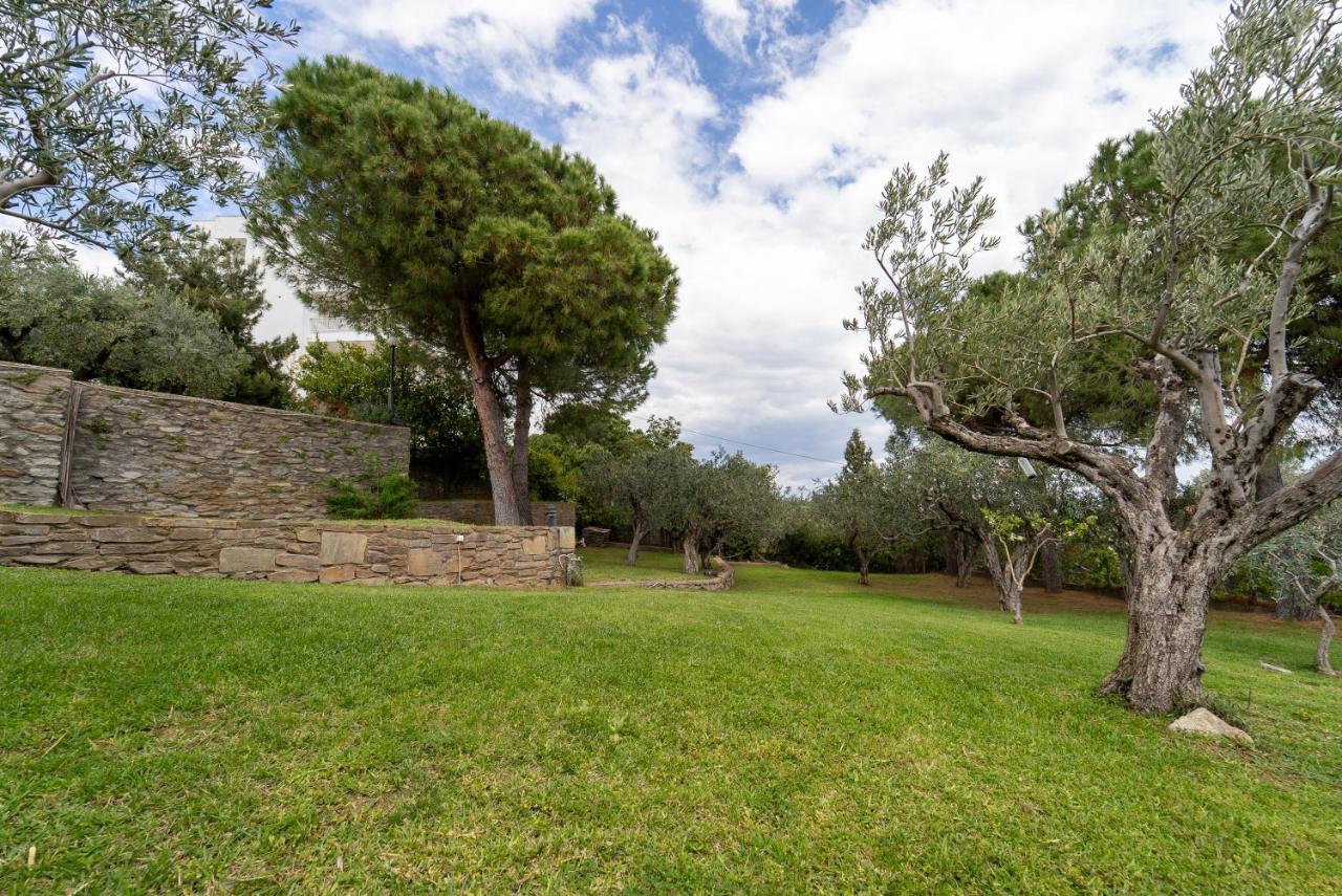 Villa Elia Kavala - Mediterranean Holiday Villa Палеон-Цифликион Экстерьер фото